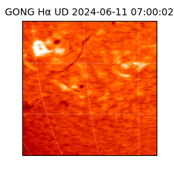 gong - 2024-06-11T07:00:02