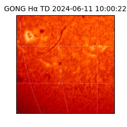 gong - 2024-06-11T10:00:22