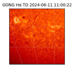 gong - 2024-06-11T11:00:22
