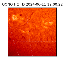 gong - 2024-06-11T12:00:22