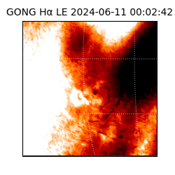 gong - 2024-06-11T00:02:42