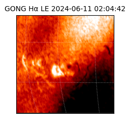 gong - 2024-06-11T02:04:42