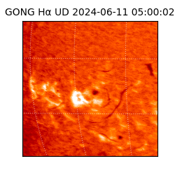 gong - 2024-06-11T05:00:02