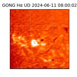 gong - 2024-06-11T08:00:02