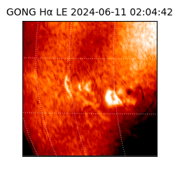 gong - 2024-06-11T02:04:42