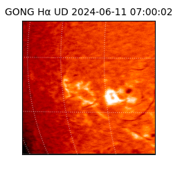 gong - 2024-06-11T07:00:02