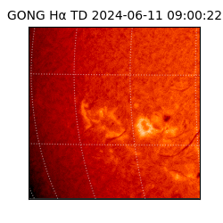 gong - 2024-06-11T09:00:22