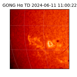 gong - 2024-06-11T11:00:22