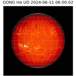 gong - 2024-06-11T06:00:02