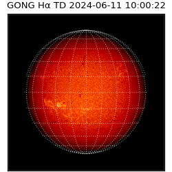 gong - 2024-06-11T10:00:22