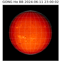 gong - 2024-06-11T23:00:02