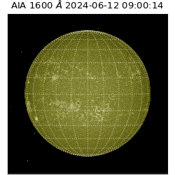 saia - 2024-06-12T09:00:14.126000