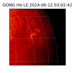 gong - 2024-06-12T03:02:42