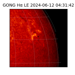 gong - 2024-06-12T04:31:42