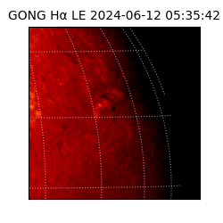 gong - 2024-06-12T05:35:42
