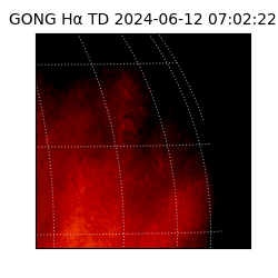 gong - 2024-06-12T07:02:22