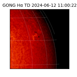 gong - 2024-06-12T11:00:22
