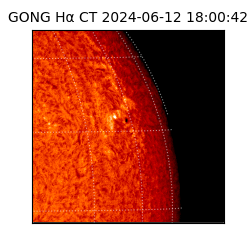 gong - 2024-06-12T18:00:42