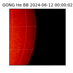 gong - 2024-06-12T00:00:02