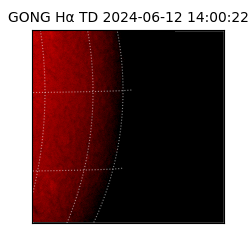 gong - 2024-06-12T14:00:22