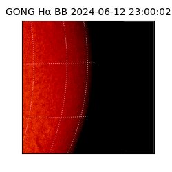 gong - 2024-06-12T23:00:02