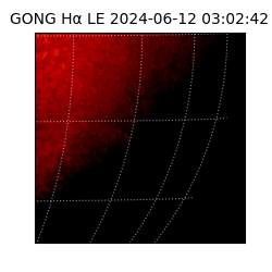 gong - 2024-06-12T03:02:42