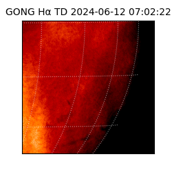 gong - 2024-06-12T07:02:22