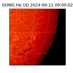 gong - 2024-06-12T09:00:02