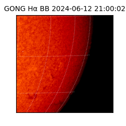 gong - 2024-06-12T21:00:02