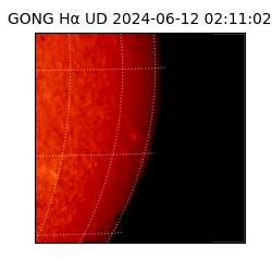 gong - 2024-06-12T02:11:02