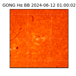 gong - 2024-06-12T01:00:02