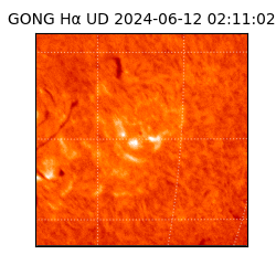 gong - 2024-06-12T02:11:02