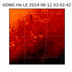 gong - 2024-06-12T03:02:42