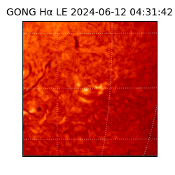 gong - 2024-06-12T04:31:42