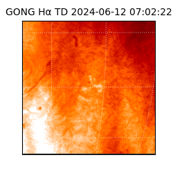 gong - 2024-06-12T07:02:22