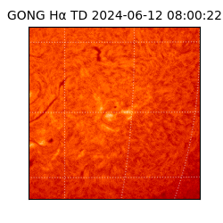gong - 2024-06-12T08:00:22