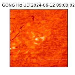 gong - 2024-06-12T09:00:02