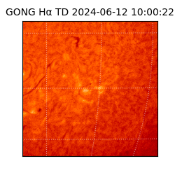 gong - 2024-06-12T10:00:22