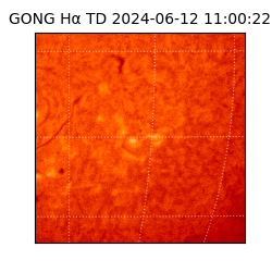 gong - 2024-06-12T11:00:22
