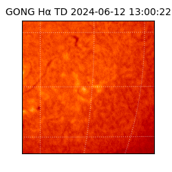 gong - 2024-06-12T13:00:22