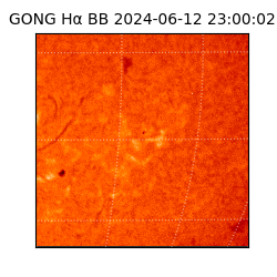 gong - 2024-06-12T23:00:02