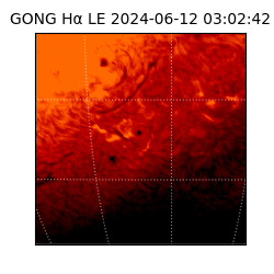 gong - 2024-06-12T03:02:42