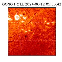 gong - 2024-06-12T05:35:42