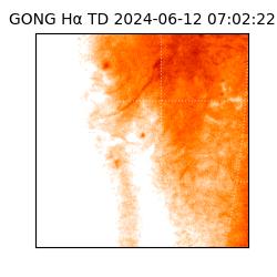 gong - 2024-06-12T07:02:22