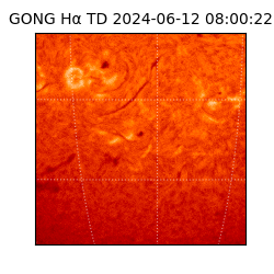 gong - 2024-06-12T08:00:22