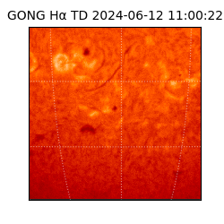 gong - 2024-06-12T11:00:22