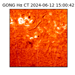 gong - 2024-06-12T15:00:42
