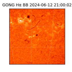 gong - 2024-06-12T21:00:02
