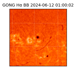 gong - 2024-06-12T01:00:02