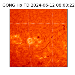 gong - 2024-06-12T08:00:22